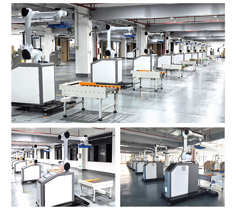 Geautomatiseerd Palletiseerproces