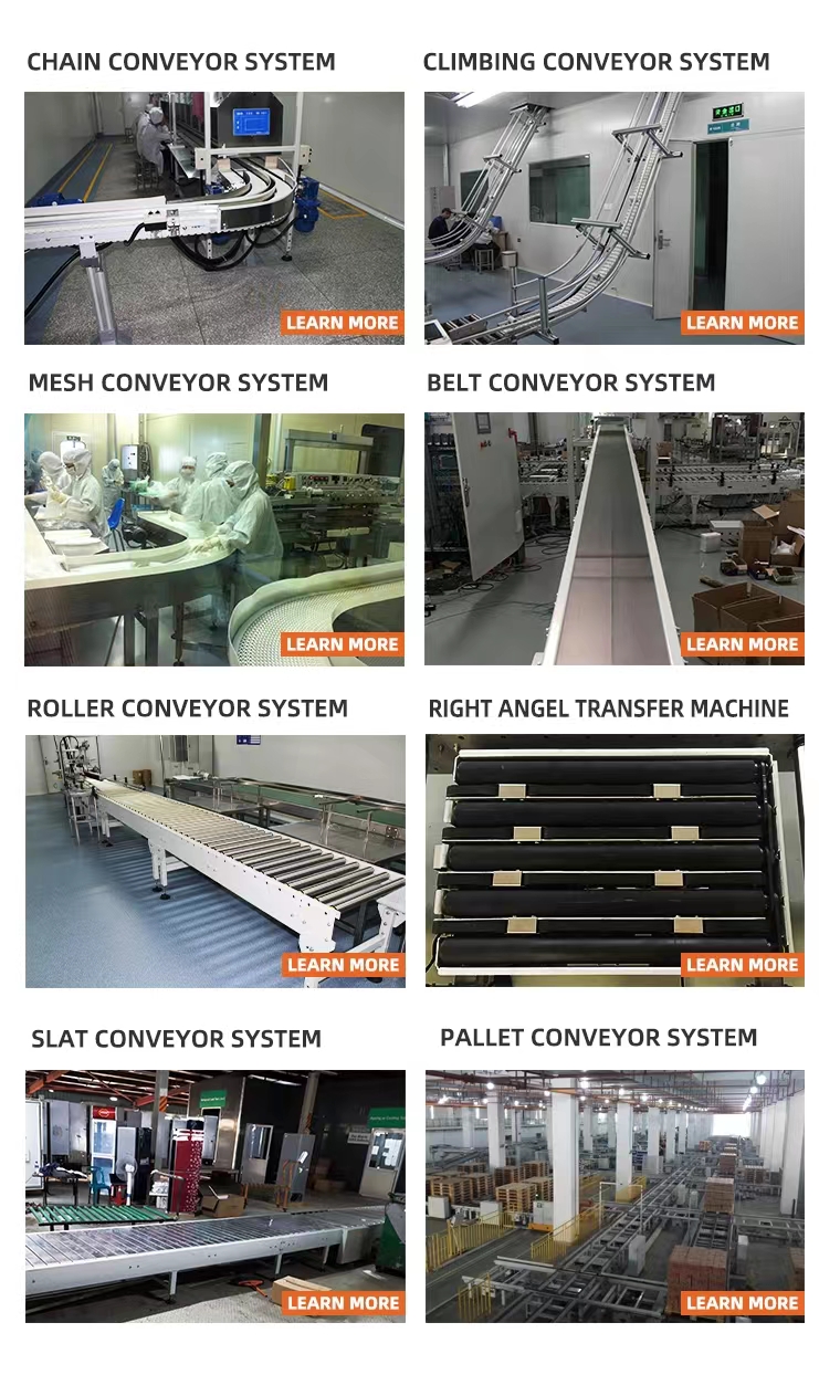 Conveyor System Type