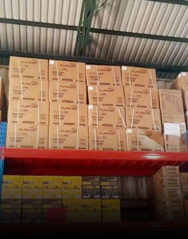 1000kg palletstelling installatie in Nicaragua