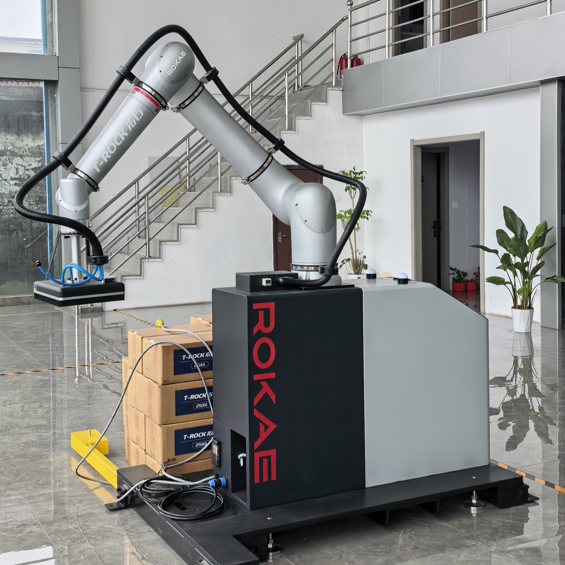 Complete 35 kg samenwerkingspalletiseerwerkstation met vacuümgrijpervoetstuk, IP67-gecertificeerd, 5 aansluitingen, 48V